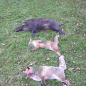 Prva,uvidime co bude dalej :)