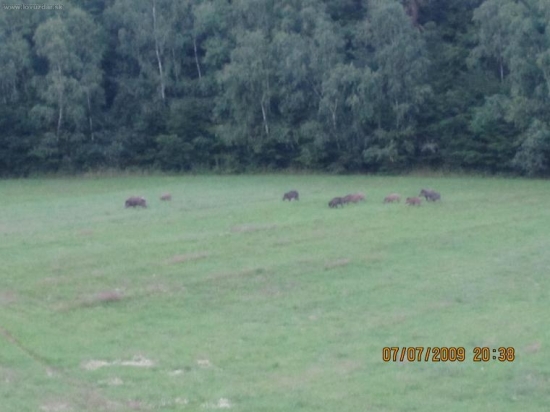 rodinka