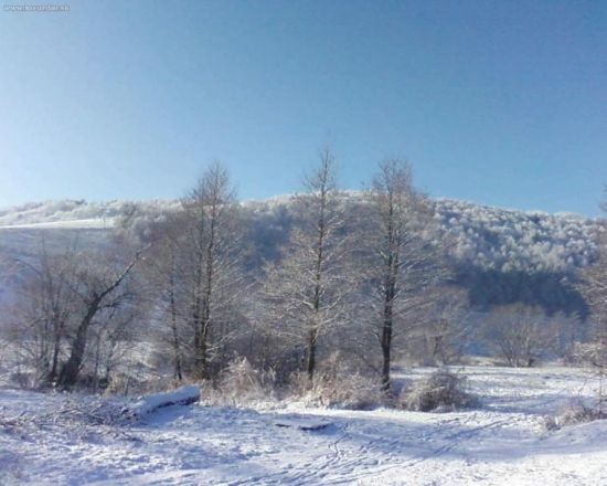 Ladova pani priroda
