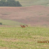 To sa tu neda v pokoji ani v............