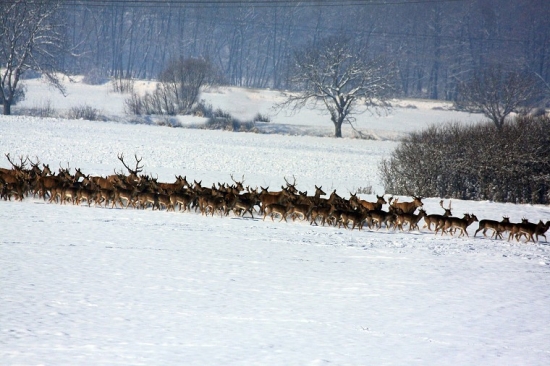 Vláčik-škoda viac sa nezmestilo