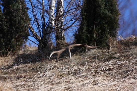 Takto sa tam vyhrieval na slniečku