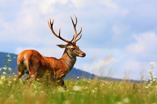 Nahnevaný na mňa zazrel