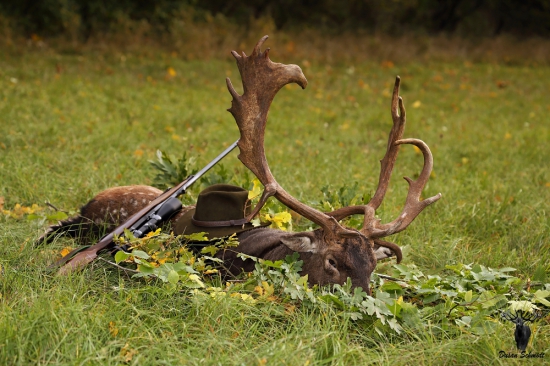 Daniel III.VT-Raritka