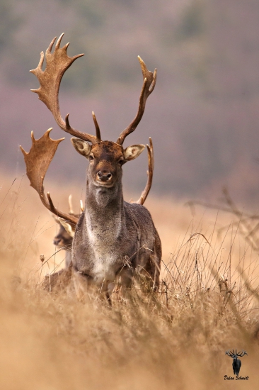 Stretnutie po 170 dňoch