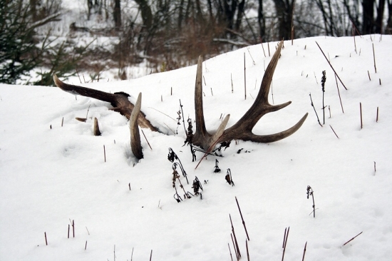 Niečo pre zhodárov