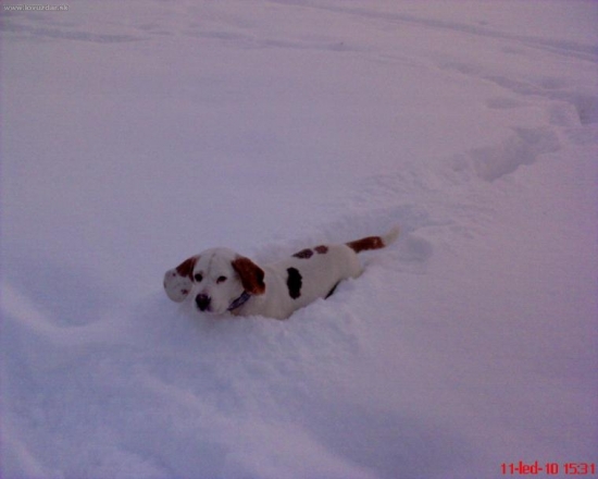 Špatně se v tom bílém chodí