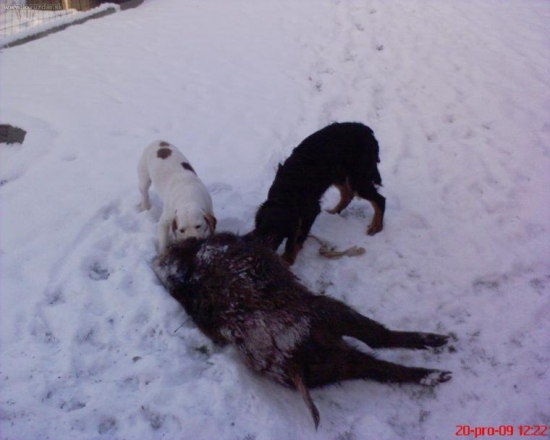 Seznámení s černou