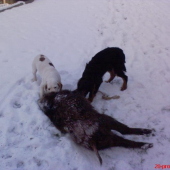 Seznámení s černou