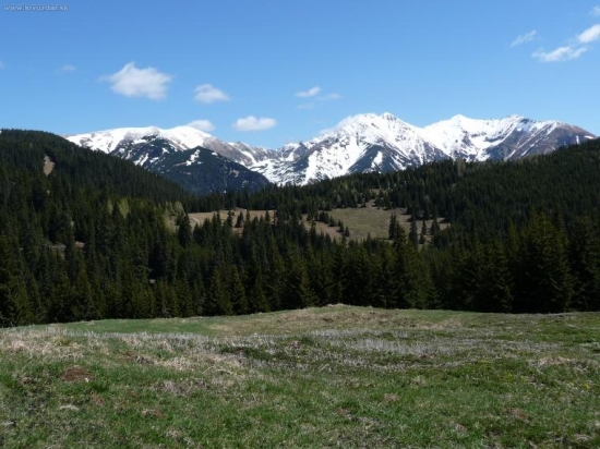 Banikov,Pachola,Salatin