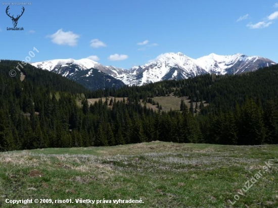 Banikov,Pachola,Salatin