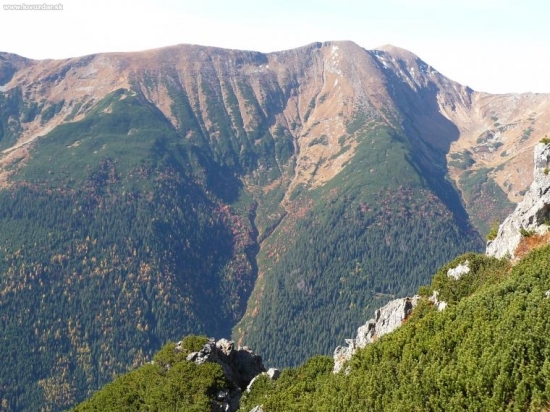 Maselna,Puste