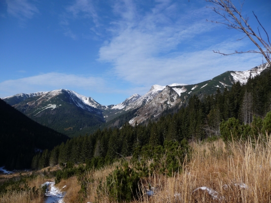 Tomanova dolina
