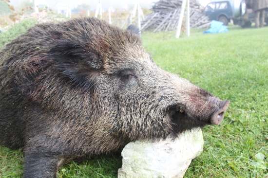 Samotar z ineho pohladu