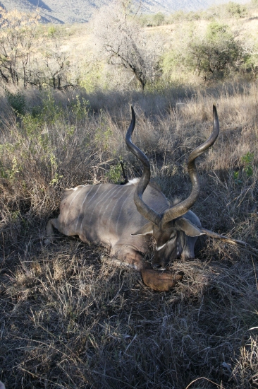 ulovok mojho priatela