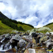 cestou na Račkove plesá