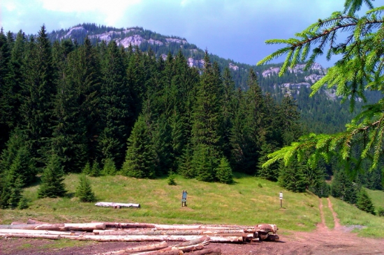 Svidovské sedlo (1133 m)