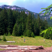 Svidovské sedlo (1133 m)
