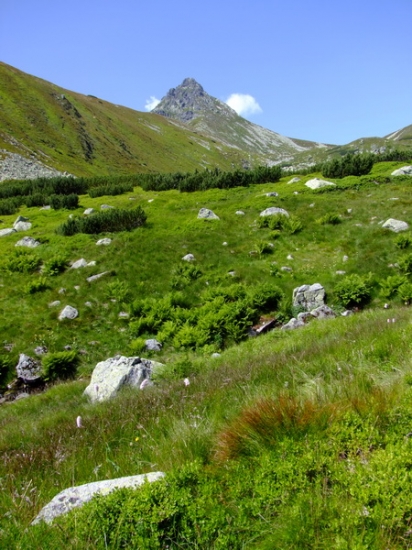 Ostrý Roháč 2088 m.n.m.