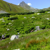 Ostrý Roháč 2088 m.n.m.
