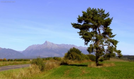 Kriváň