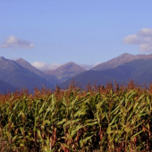 otrhance, klin, bystrá