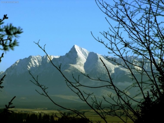 kriváň
