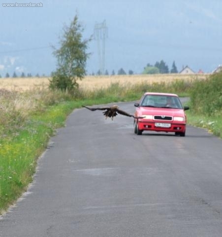 kto bude prvý ?