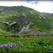 Račkove plesá