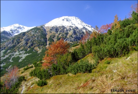 Jakubiná z Gáborovej doliny