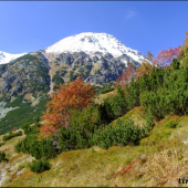 Jakubiná z Gáborovej doliny