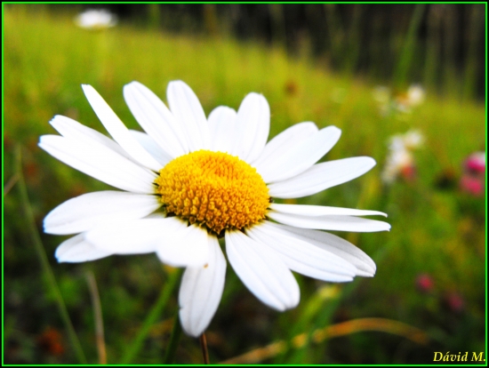 Vždy sa nájde niečo na fotenie :-)