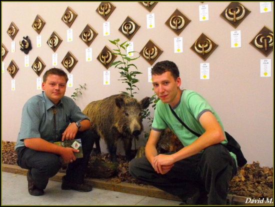 Poľovníctvo a príroda 2011 INCHEBA EXPO BA