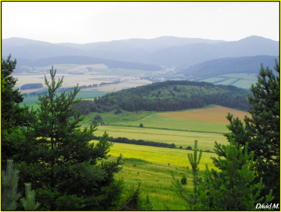 Príroda pod Spišským Hradom