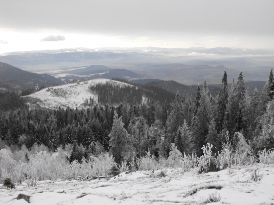 Výhľad zo Smrekovice