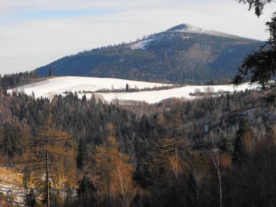 Januárová posliedka ( v pozadí Smrekovica )