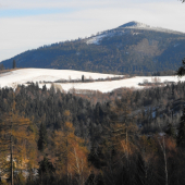 Januárová posliedka ( v pozadí Smrekovica )