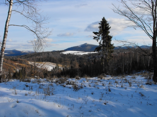 Januárová posliedka