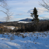 Januárová posliedka