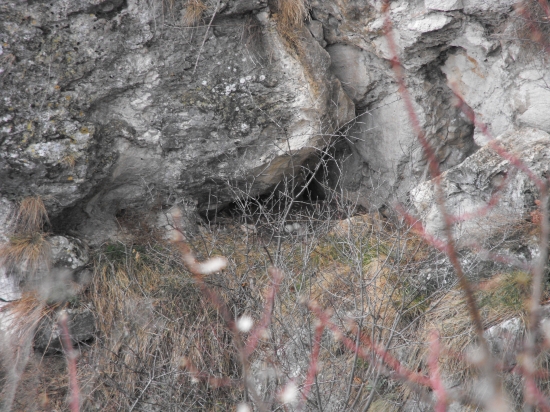 Hniezdo Výra skalného