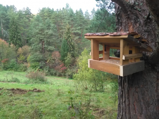 Aj takto treba prikrmovať