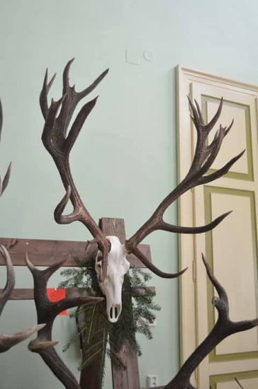 Chovateľská prehliadka poľovníckych trofejí