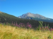 Tatranská príroda