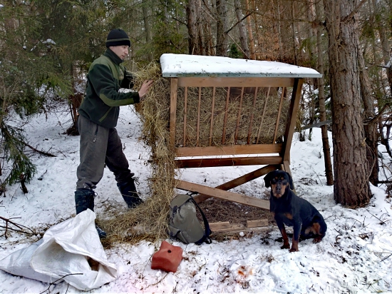 Dopĺňanie senníka