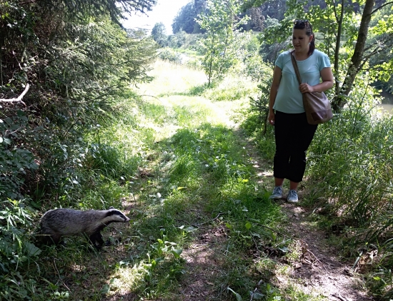 Prekvapenie na lesnej ceste