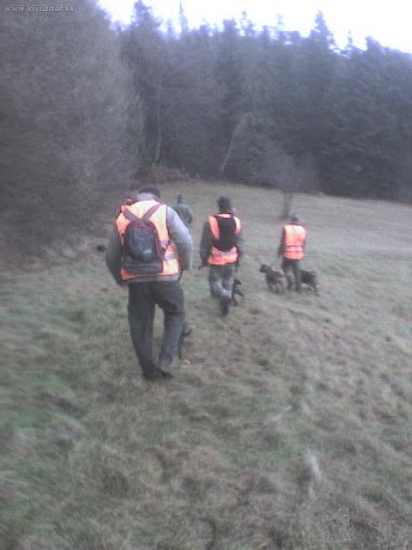 Rozostavenie na pohon