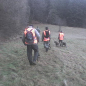 Rozostavenie na pohon