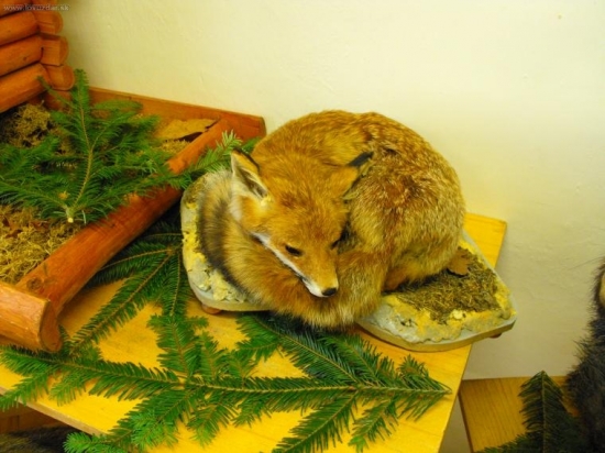 Chovateľská prehliadka 2010 Levoča