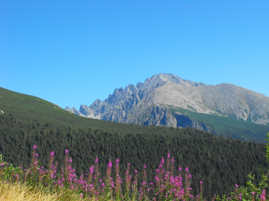 Tatry
