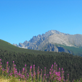 Tatry